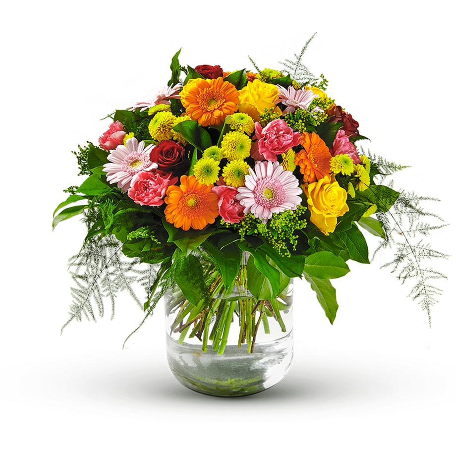 Gloria Belgium Flowers Fleur