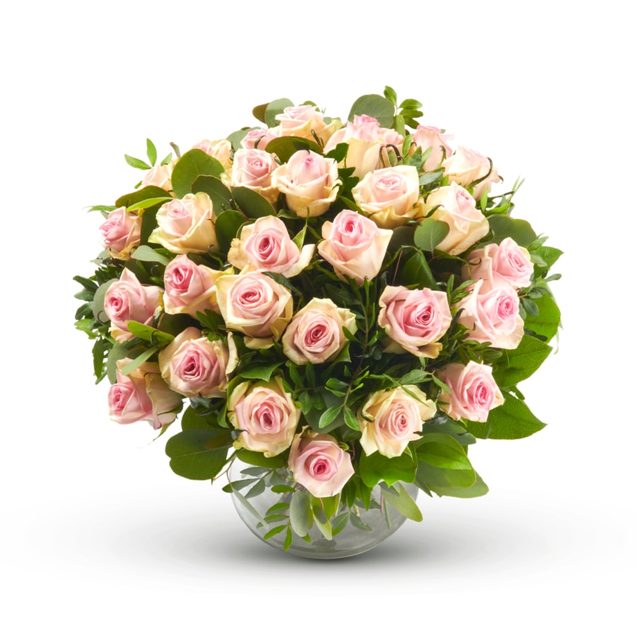 Rosalie Belgium Roses