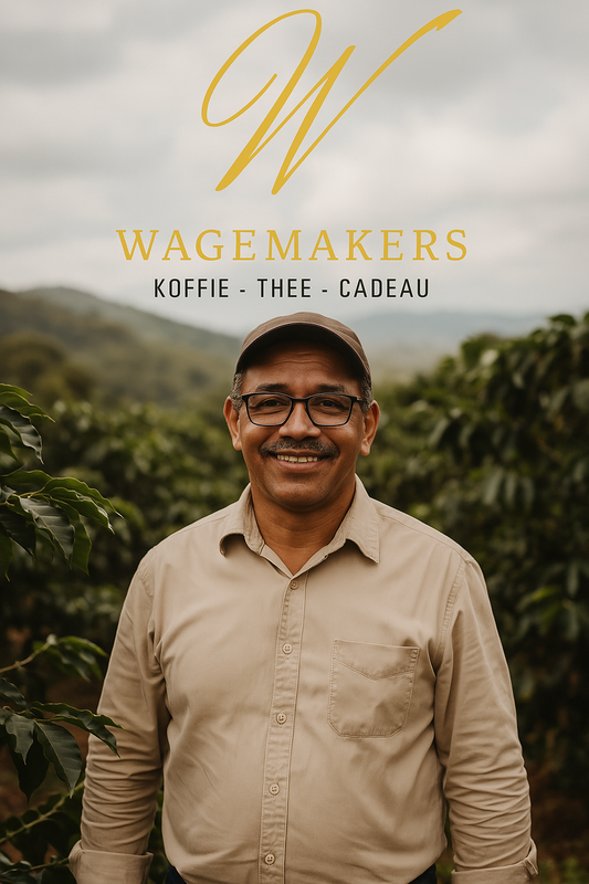 Waarom de koffieprijs stijgt – en hoe Impact Koffie van Wagemakerskoffie het verschil maakt voor boeren wereldwijd