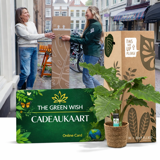 Plant cadeaukaart kopen | Duurzame planten cadeaukaart Green Wish