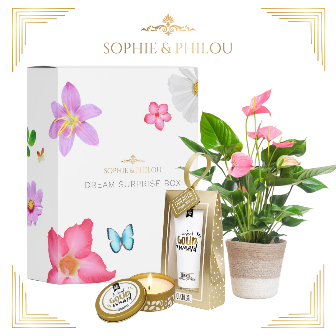 Dream Surprise Box kopen | Originele cadeaubox vol 100% Leuk producten