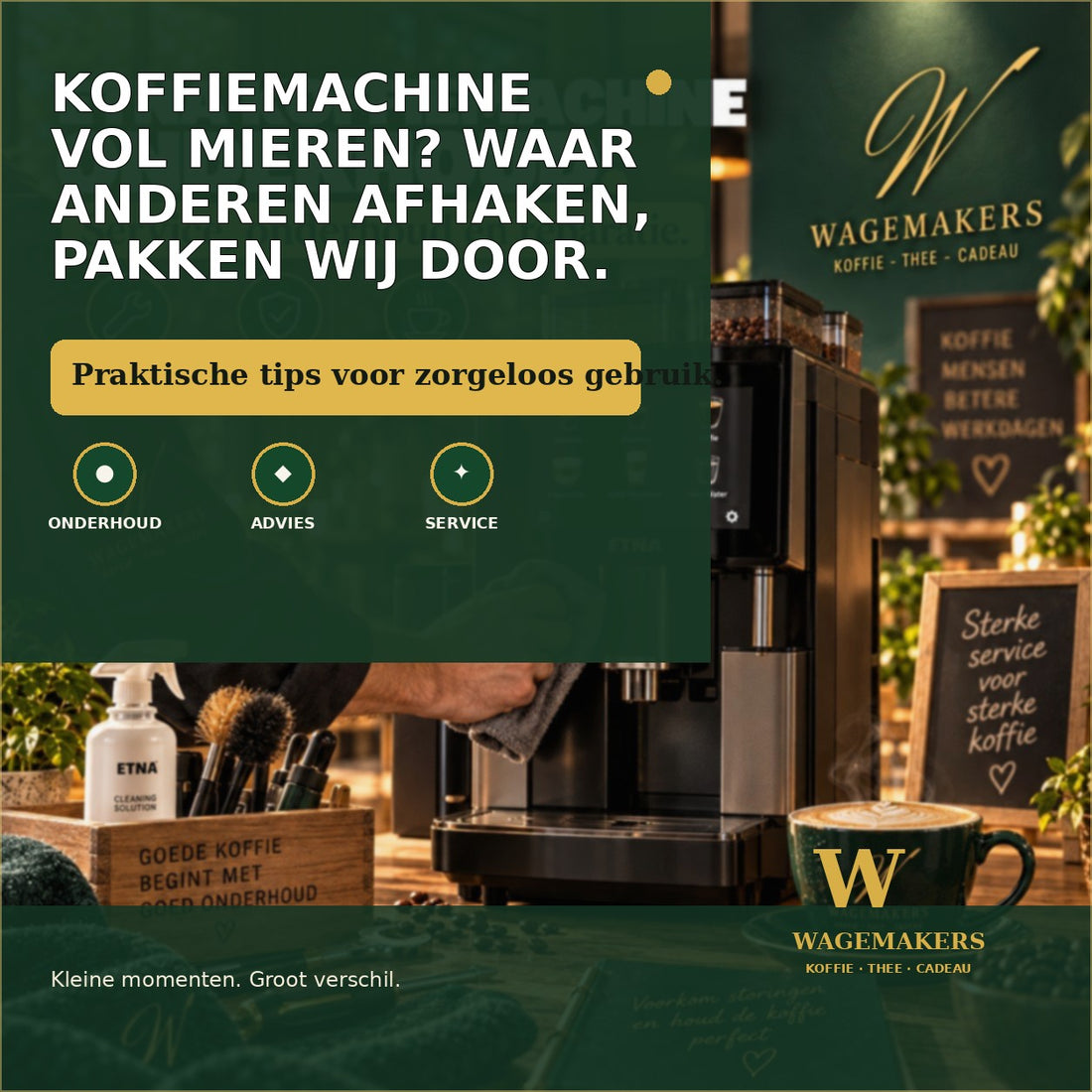 Koffiemachine vol mieren? Waar anderen afhaken, pakken wij door.