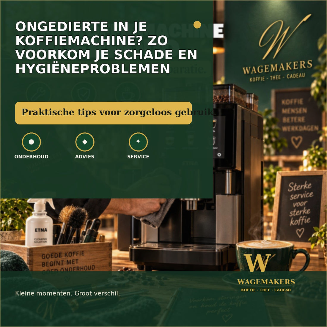 Ongedierte in je koffiemachine? Zo voorkom je schade en hygiëneproblemen