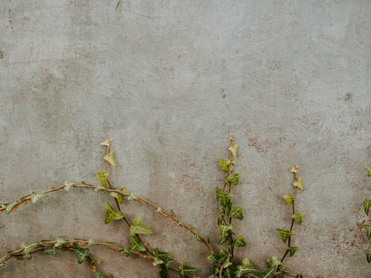 Verwen jezelf met luxe paaspralines voor de feestdagen