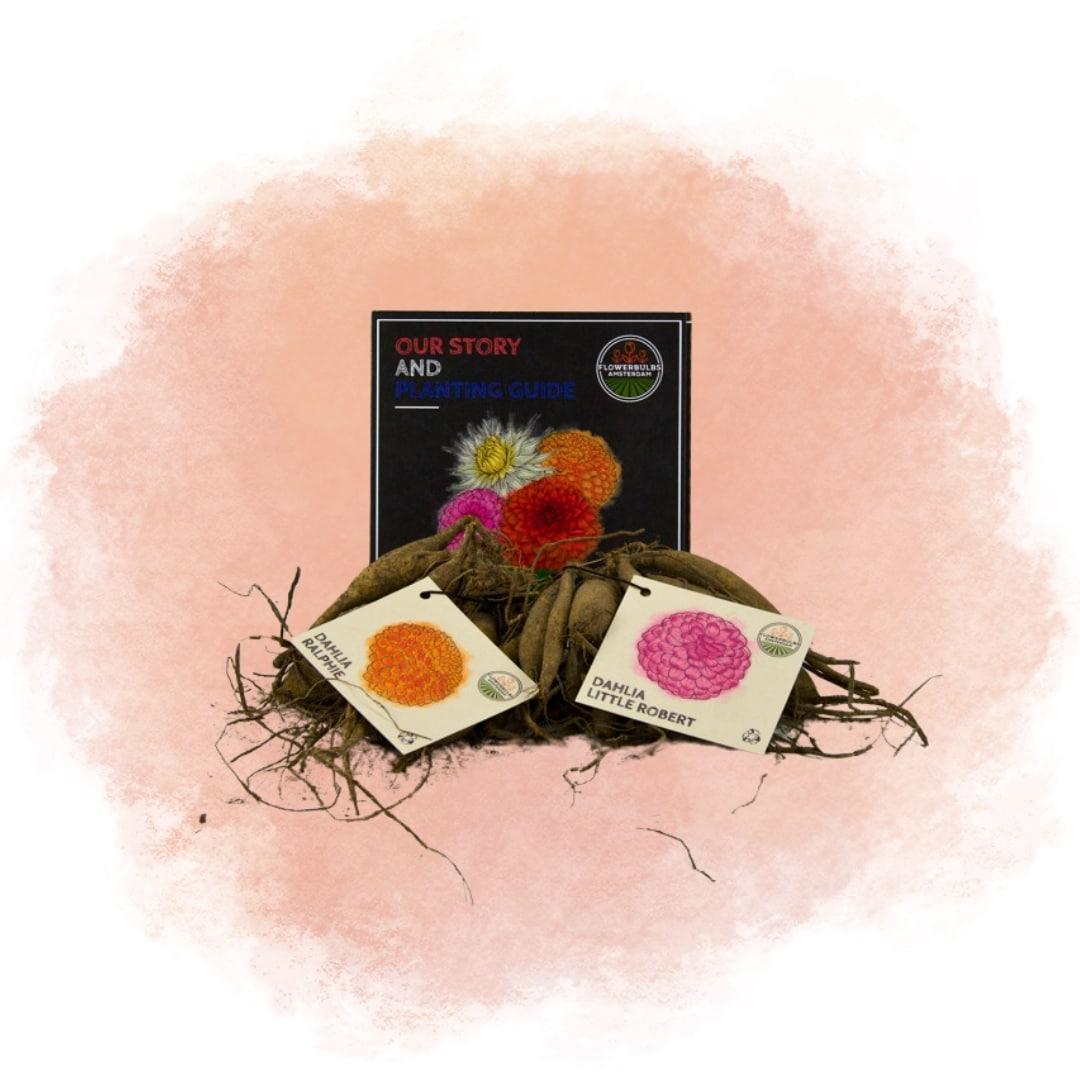 Cadeaus die de Creativiteit van Leraren Bevorderen