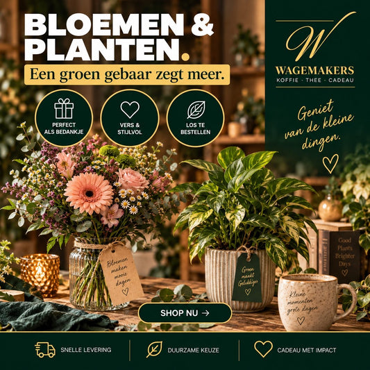 Green Plant Wish bloemen en planten cadeau van Wagemakers