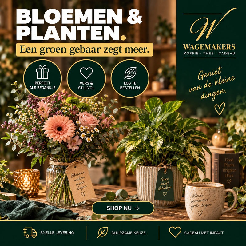 Green Plant Wish bloemen en planten cadeau van Wagemakers