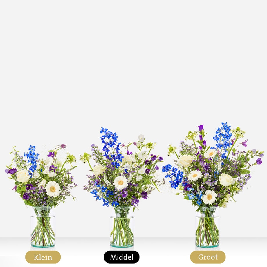 Feestelijk Blauw Sophie