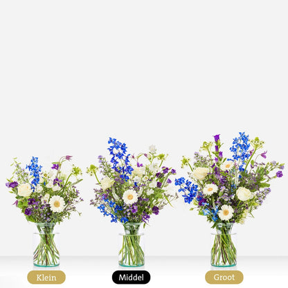 Feestelijk Blauw Sophie
