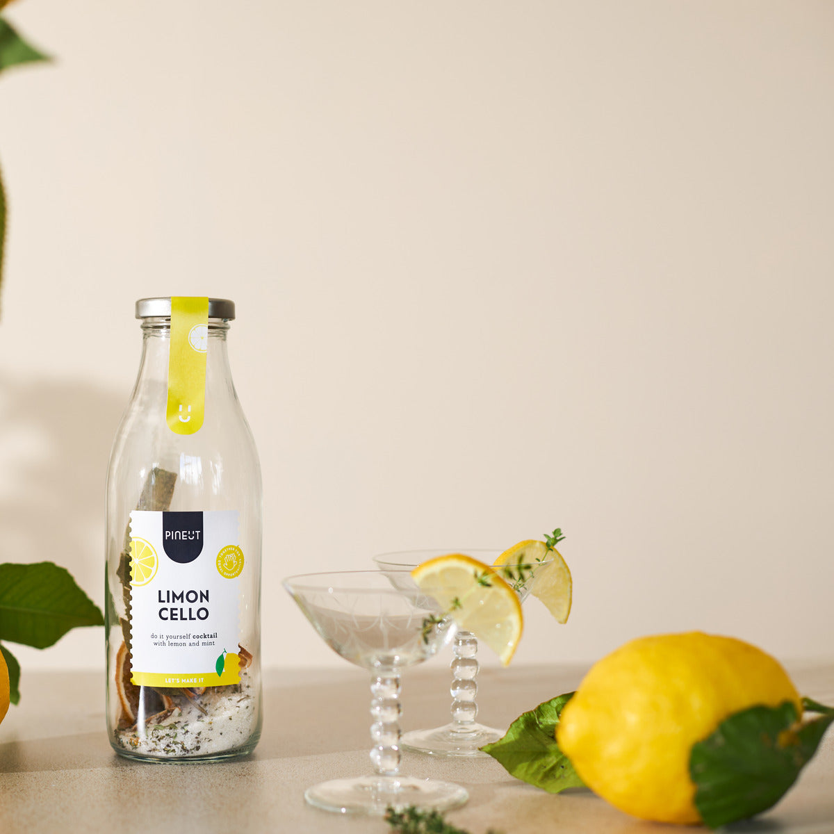 Limoncello maken | DIY Cocktail in fles | BIO | Pineut