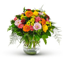 Gloria Belgium Flowers Fleur