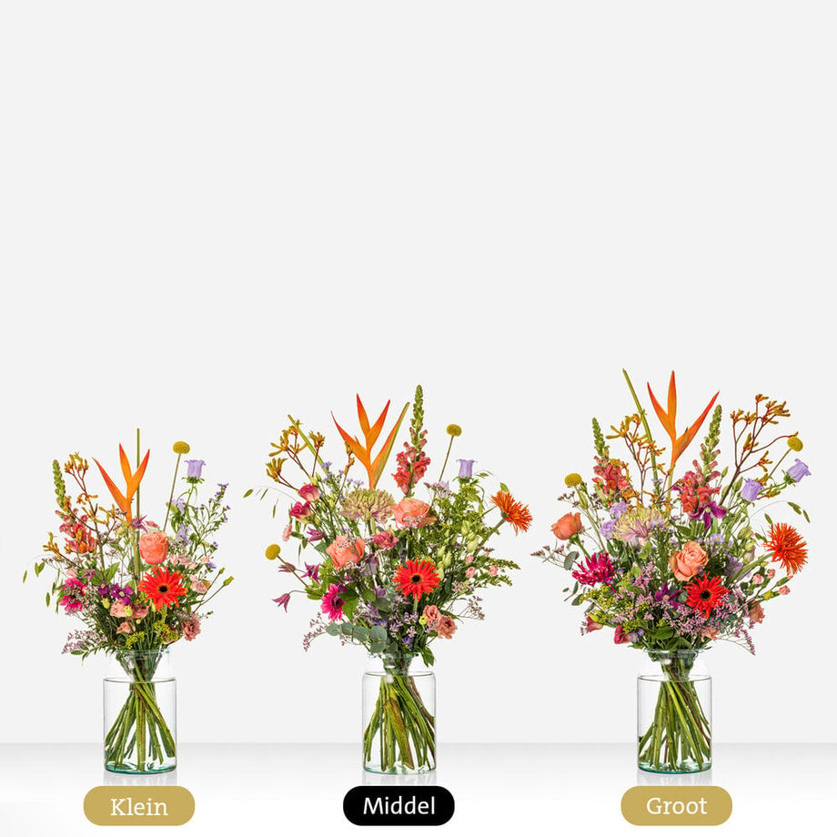 Beterschap Sophie Philou