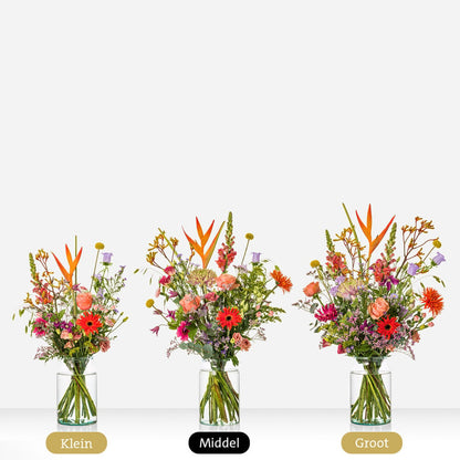 Beterschap Sophie Philou