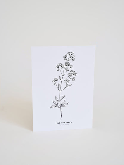 Herbal illustrated cards