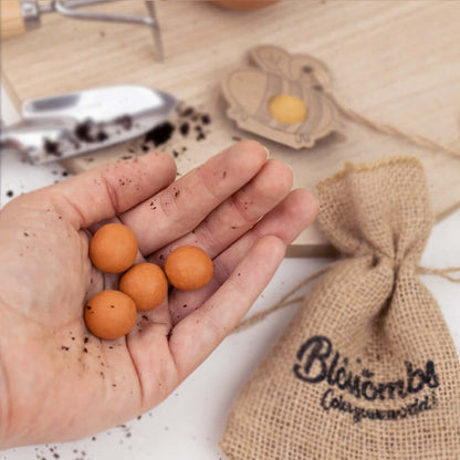 Hand holding four Blossombs seed balls with soil, burlap bag in background.