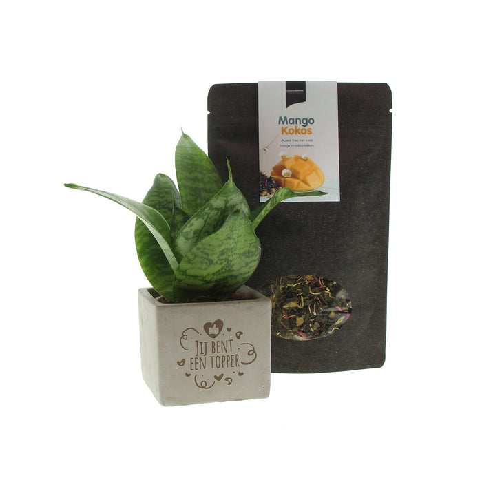 Jij bent een Topper Plant - Thee Pakket