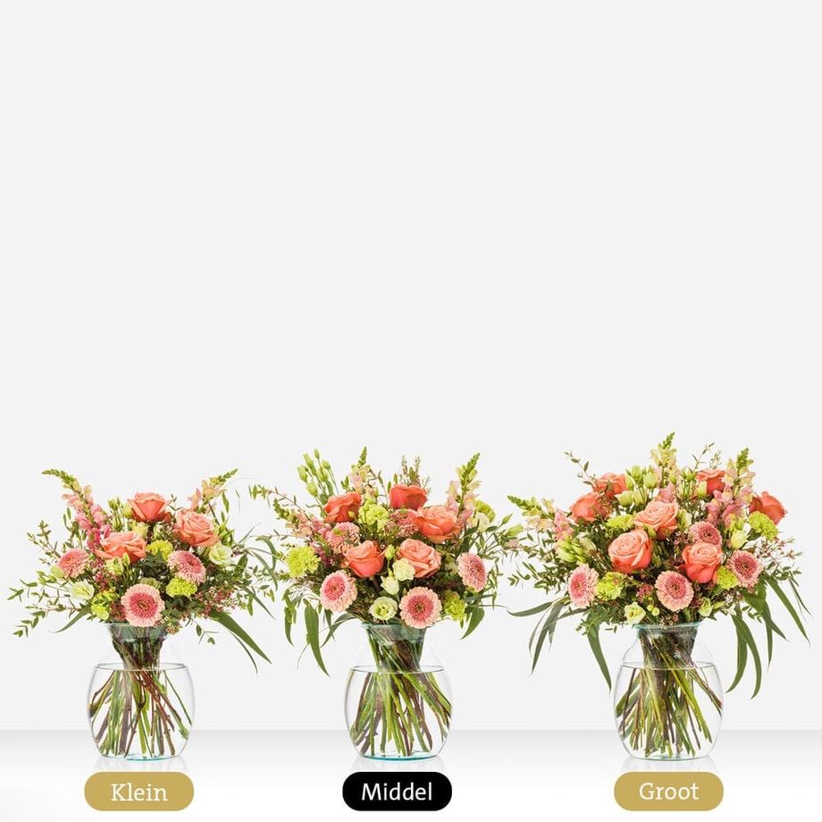 Cadeauset Stijlvol met Bubbels Anne