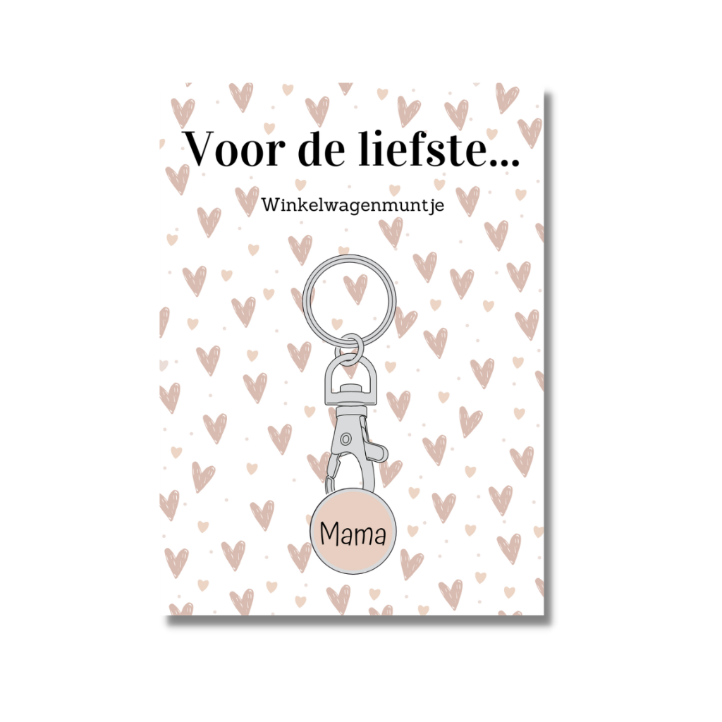 6x Winkelwagenmuntje