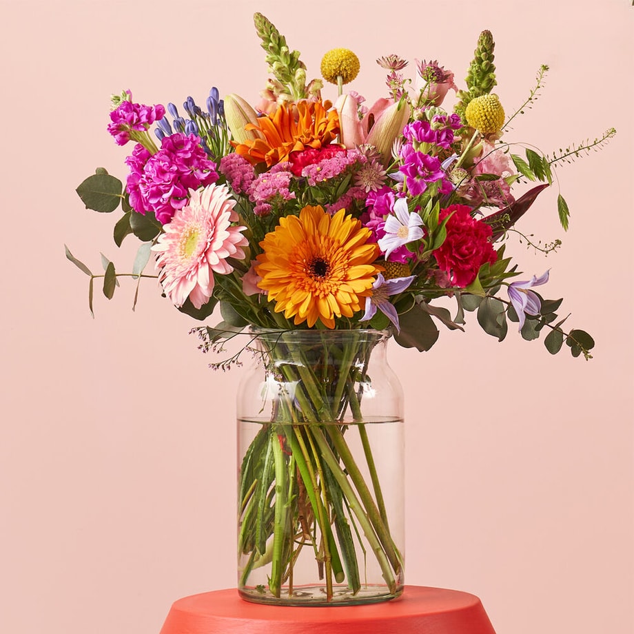 Kleurfestijn Sophie Philou