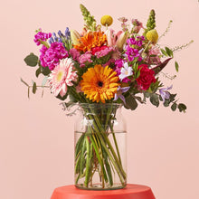 Kleurfestijn Sophie Philou