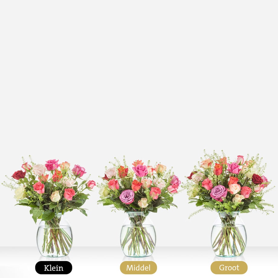 Gekleurde Rozen Novi