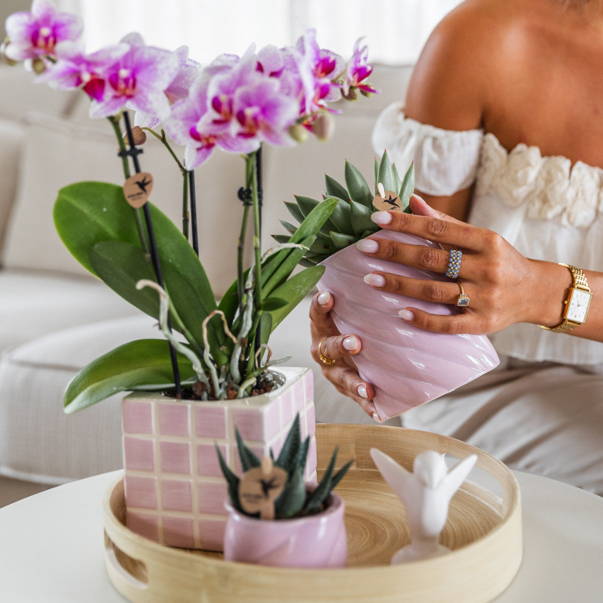 The Green Wish duurzame plantencadeaukaart