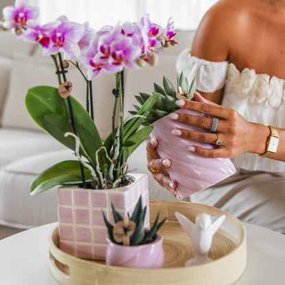 The Green Wish duurzame plantencadeaukaart