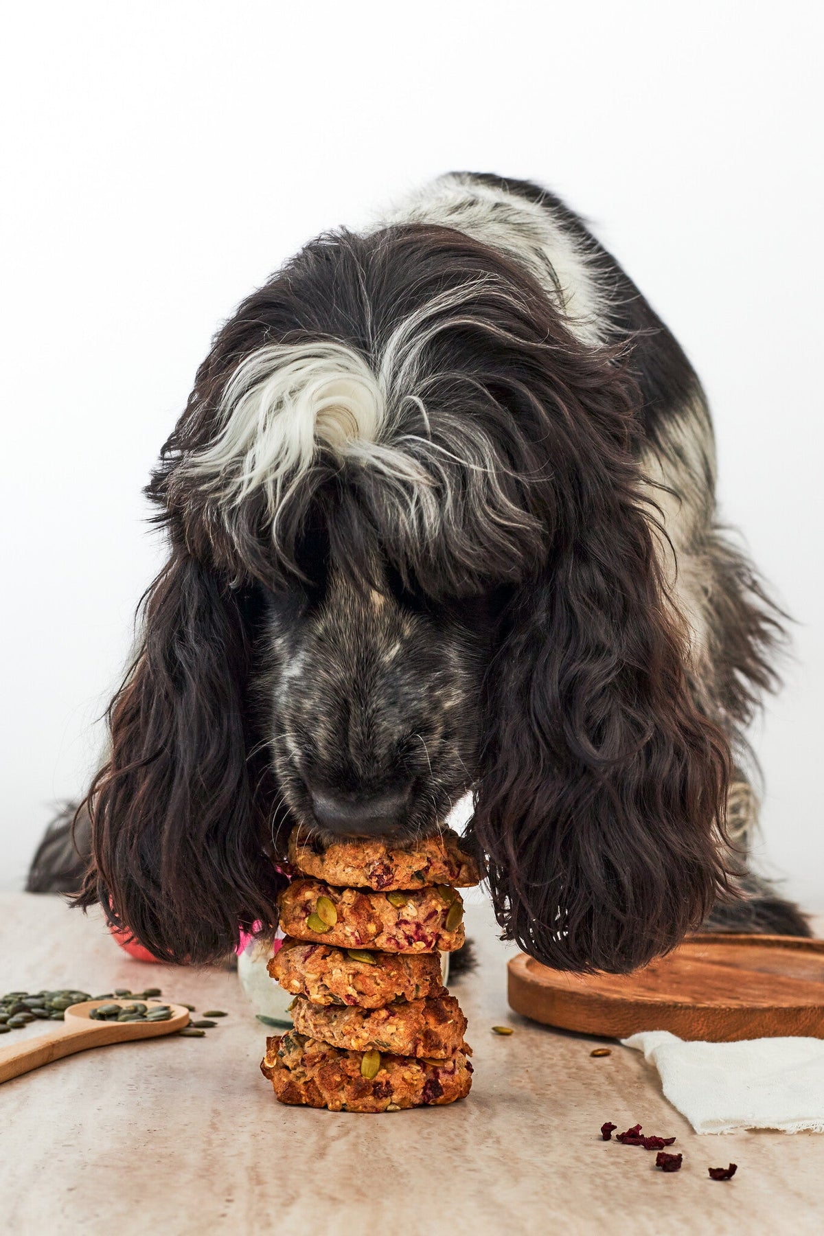 Dognuts | WoofBake