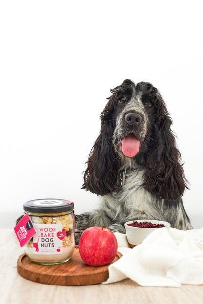 Dognuts | WoofBake