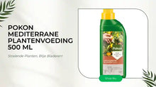 Pokon Mediterrane Plantenvoeding 500 ml by@Outfy