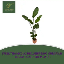 Strelitzia Nicolai inclusief elho Vibes Fold Round roze - 100 cm - &Oslash;18 by@Outfy
