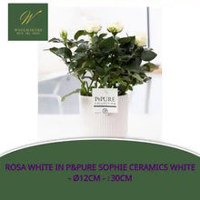 Rosa White In P&amp;PURE Sophie Ceramics White - &Oslash;12cm - ↕30cm by@Outfy