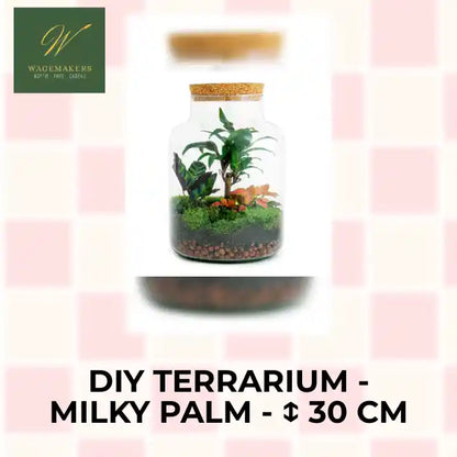 DIY terrarium - Milky Palm - ↕ 30 cm by@Outfy