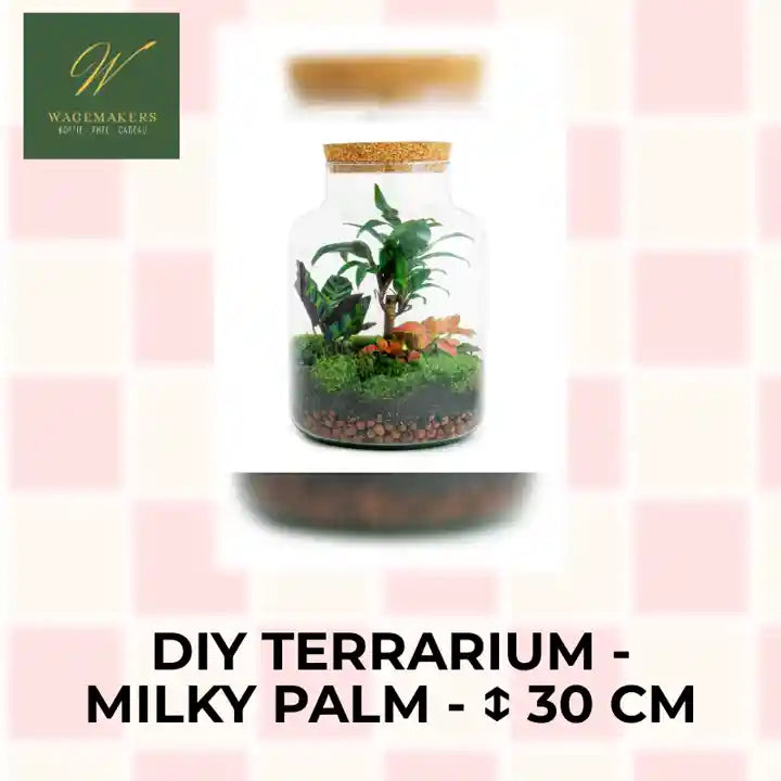 DIY terrarium - Milky Palm - ↕ 30 cm by@Outfy