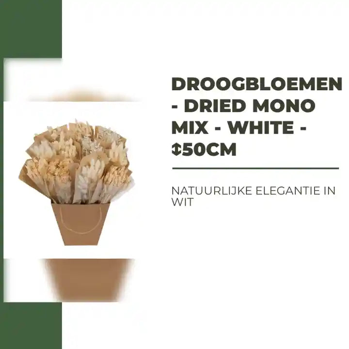 Droogbloemen - Dried Mono Mix - White - ↕50cm by@Outfy