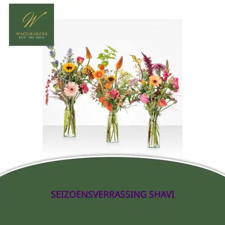 Seizoensverrassing ShaVi by@Outfy