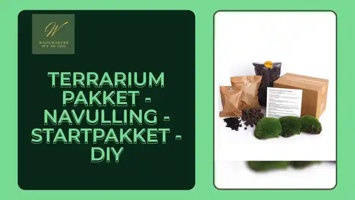 Terrarium pakket - Navulling - Startpakket - DIY by@Outfy