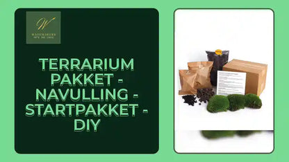 Terrarium pakket - Navulling - Startpakket - DIY by@Outfy