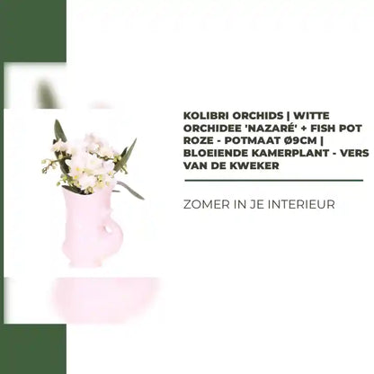 Kolibri Orchids | Witte orchidee 'Nazar&eacute;' + Fish pot roze - potmaat &Oslash;9cm | bloeiende kamerplant - vers van de kweker by@Outfy