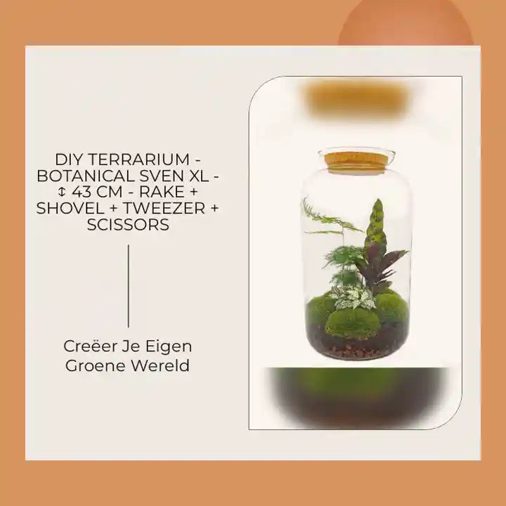DIY terrarium - Botanical Sven XL - ↕ 43 cm - Rake + Shovel + Tweezer + Scissors by@Outfy