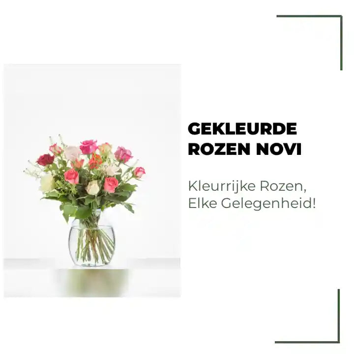 Gekleurde Rozen Novi by@Outfy