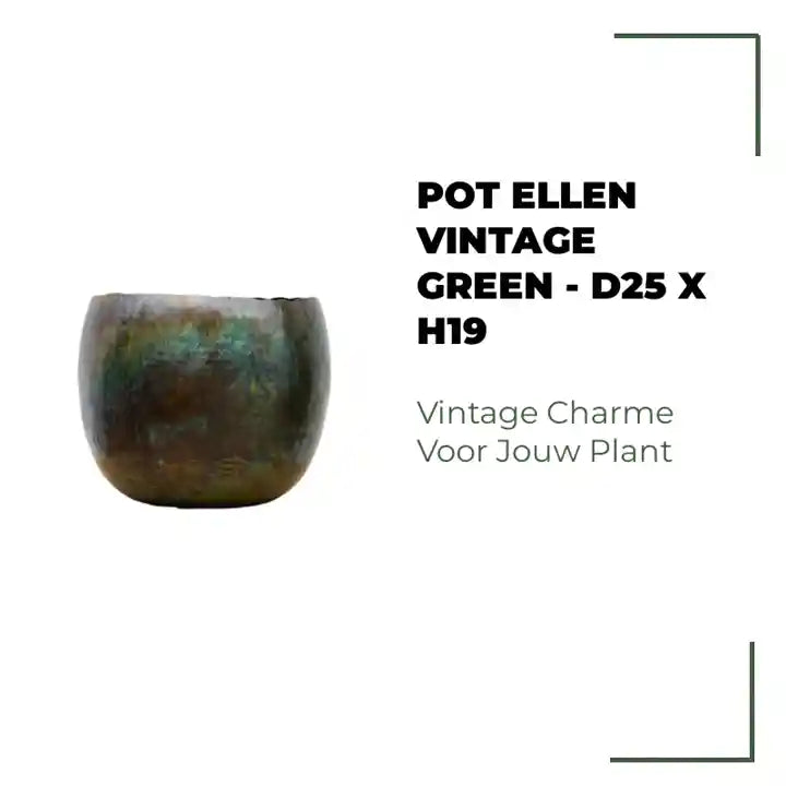 Pot Ellen vintage green - D25 x H19 by@Outfy