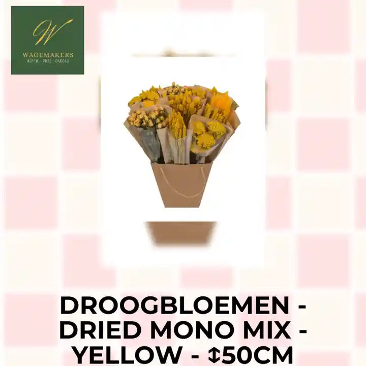 Droogbloemen - Dried Mono Mix - Yellow - ↕50cm by@Outfy