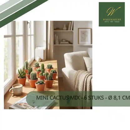 Mini Cactus Mix - 6 Stuks - &Oslash; 8,1 cm - Hoogte: 5-10 cm - Terracotta Potten by@Outfy