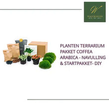 Planten terrarium pakket Coffea Arabica - Navulling &amp; Startpakket- DIY by@Outfy