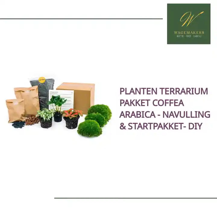 Planten terrarium pakket Coffea Arabica - Navulling & Startpakket- DIY by@Outfy