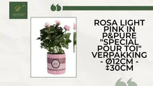 Rosa Light Pink In P&amp;PURE "SPECIAL POUR TOI" Verpakking - &Oslash;12cm - ↕30cm by@Outfy