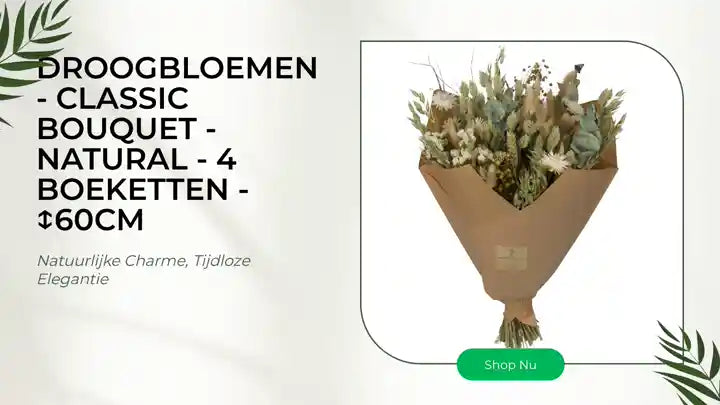 Droogbloemen - Classic Bouquet - Natural - 4 boeketten - ↕60cm by@Outfy
