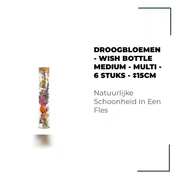 Droogbloemen - Wish Bottle Medium - Multi - 6 stuks - ↕15cm by@Outfy