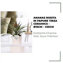 Ananas Rosita In P&amp;PURE Tirza Ceramics - &Oslash;12cm - ↕35cm by@Outfy